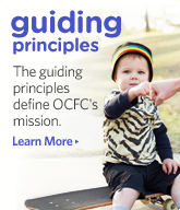 View Guiding Principles